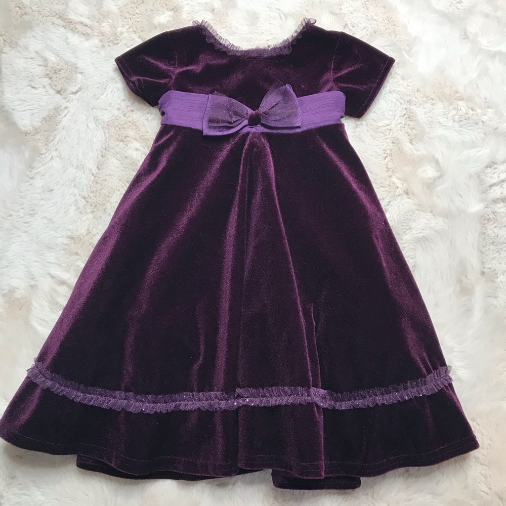 Goodlad Beautiful purple velvet dress sz 2T